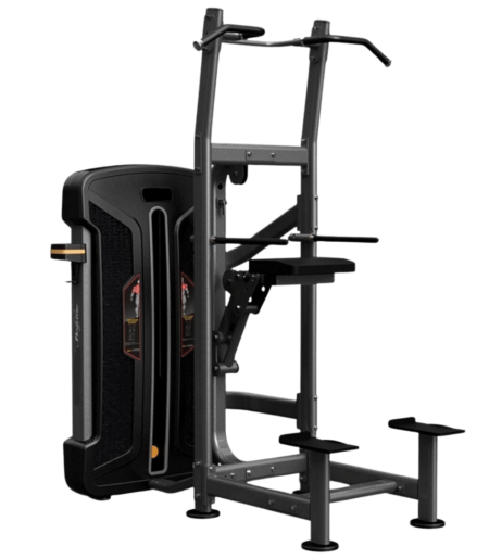 assisted pull-up/chinup machine. phantom