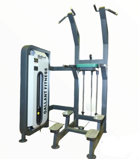Assisted Pull-Up/Chin-Up & Dip Machine