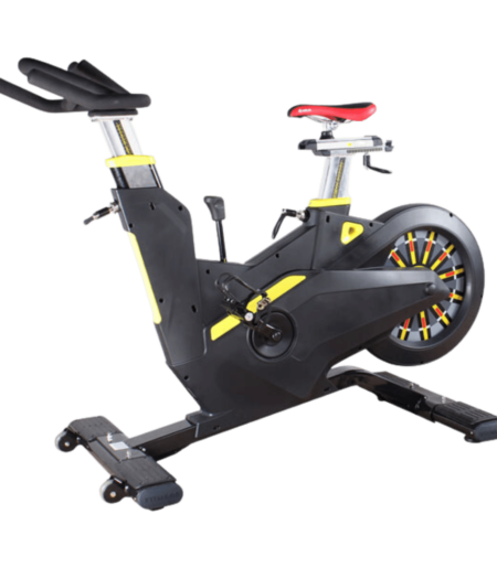 Spin Bike 219